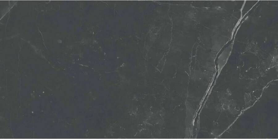 Navale Lasalle vloertegel 3D 60x120cm antraciet mat gerectificeerd