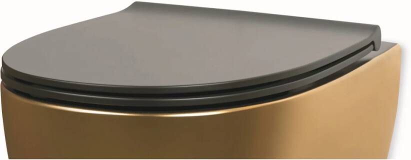Luca Sanitair Globo 4ALL closetzitting softclose mat zwart GLMDR20.AR