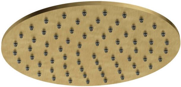 Hotbath Archie Hoofddouche rond 20cm BBP Geborsteld Messing PVD AR100BBP