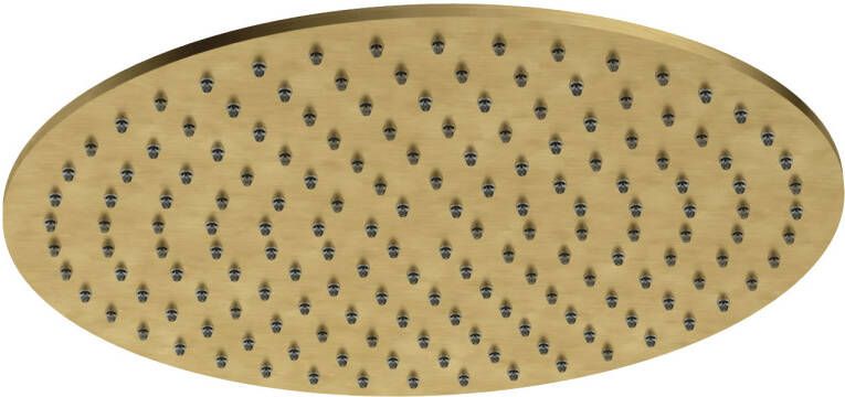 Hotbath Archie AR199 hoofddouche 30cm 8mm dik RVS 316 Geborsteld Messing PVD