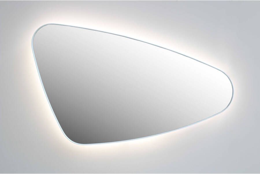 Ink Spiegel Organisch SP23 80x50 cm Met Verlichting en Spiegelverwarming L s Geborsteld RVS