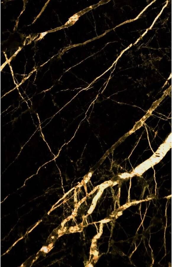 Isodeco Wandpaneel Onyx Black Gold 122x260 cm Waterbestendig Hoogglans