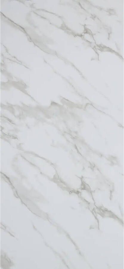 Isodeco Wandpaneel SPC Marmer Plaat 120x260 cm Marble Wit Grijs