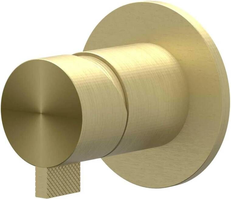 Ivy Tribe inbouw douchemengkraan eenhendel inclusief inbouwdeel RVS316 geborsteld mat goud PVD 6201072