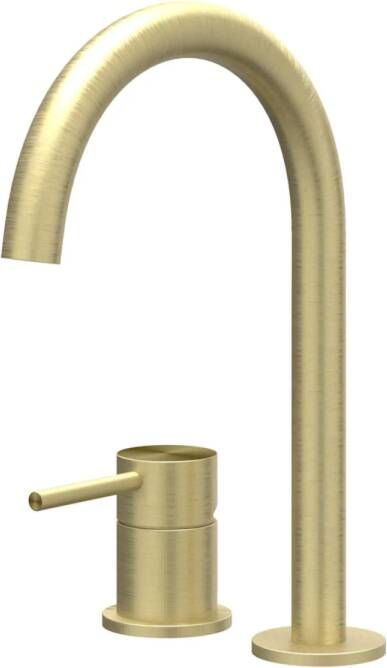 Ivy Concord Wastafelmengkraan 2-gats bladmontage uitloop coldstart RVS316 geborsteld mat goud PVD 6100502