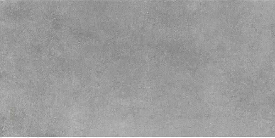 Loetino Vloertegel Berlin 30x60 cm Smoke