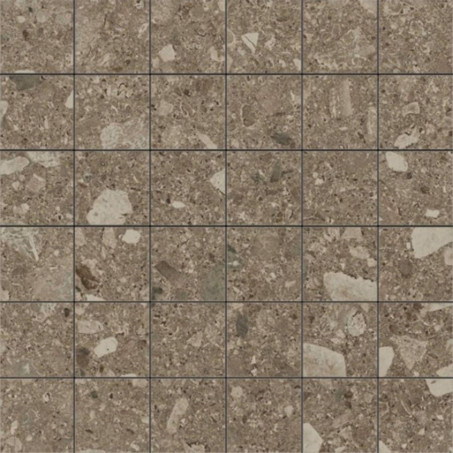 Marazzi Mozaiek Mystone Ceppo D 30x30 cm Donker Beige