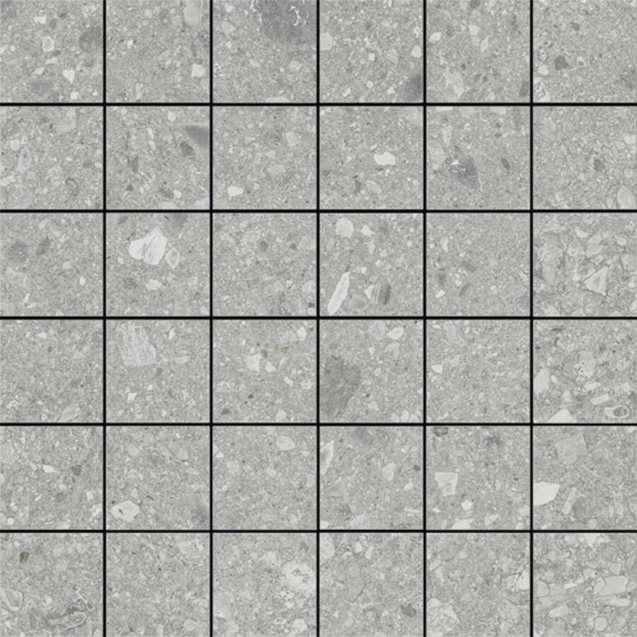 Marazzi Mozaiek Mystone Ceppo D 30x30 cm Grijs