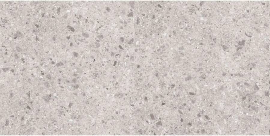 Mykonos Vloertegel Geotech Light Grey 60x120 cm Antislip