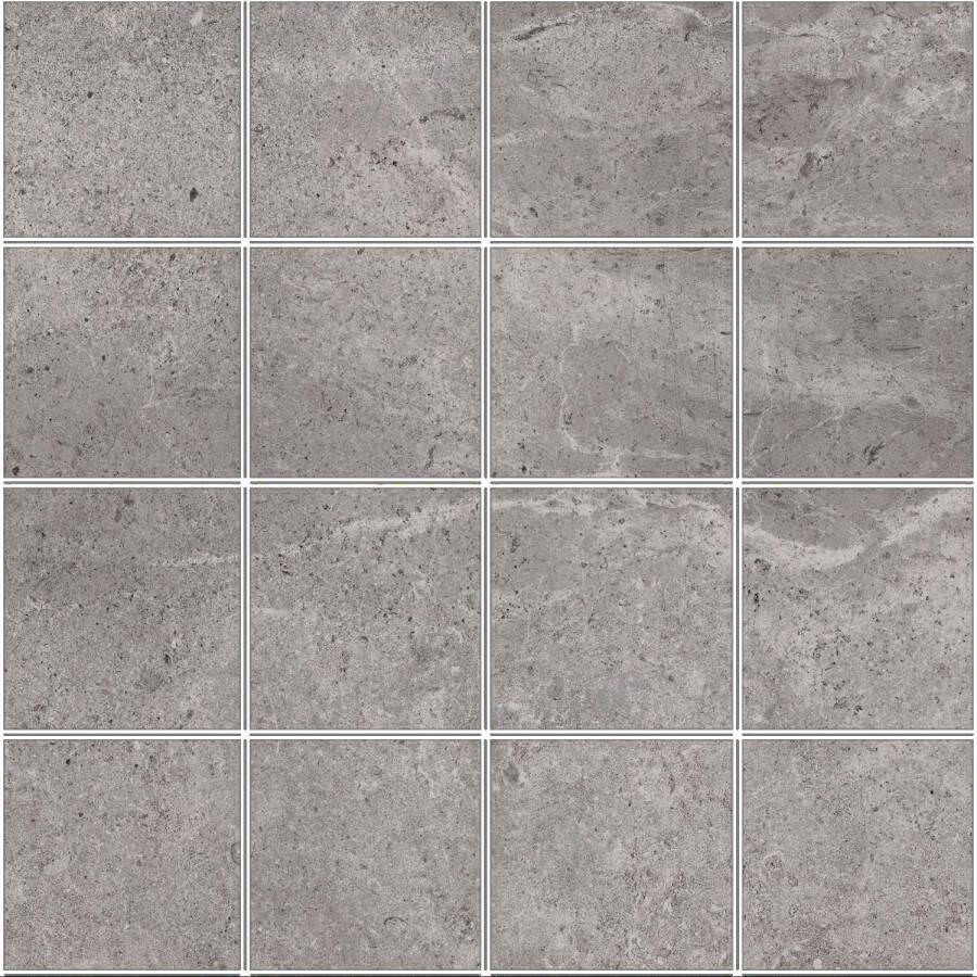 Pamesa Mozaiek Erding Grey 30x30 cm Gerectificeerd Mat Grijs