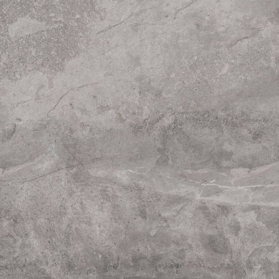 Pamesa Vloertegel Erding Grey 120x120 cm Gerectificeerd Mat Grijs