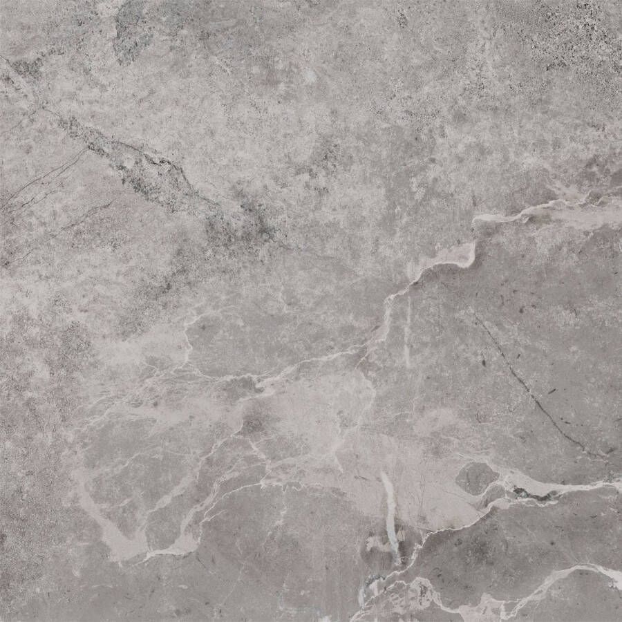 Pamesa Vloertegel Erding Grey 90x90 cm Gerectificeerd Mat Grijs