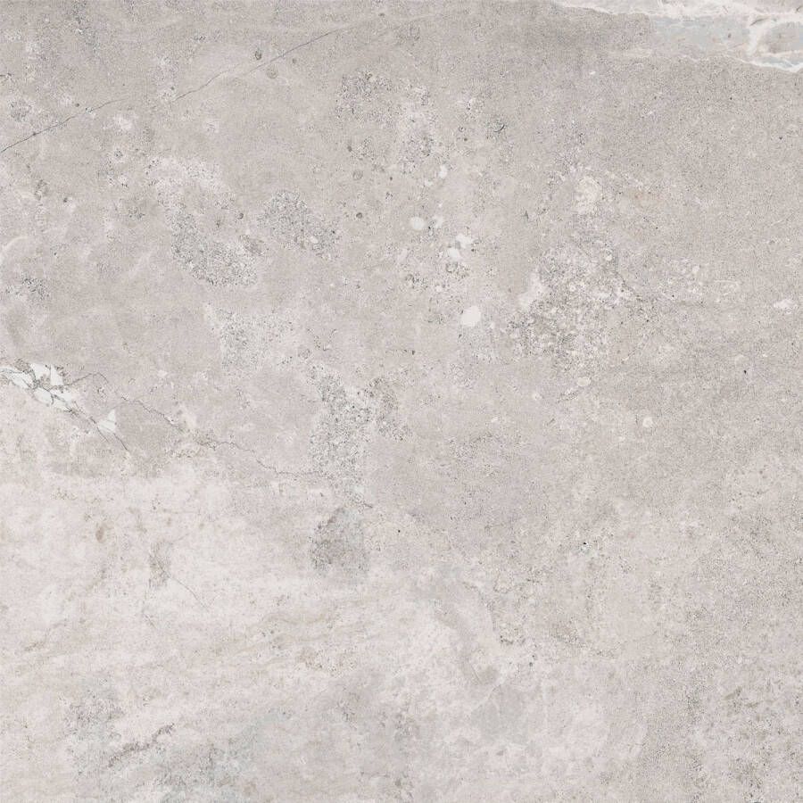 Pamesa Vloertegel Erding Silver 120x120 cm Gerectificeerd Mat Grijs