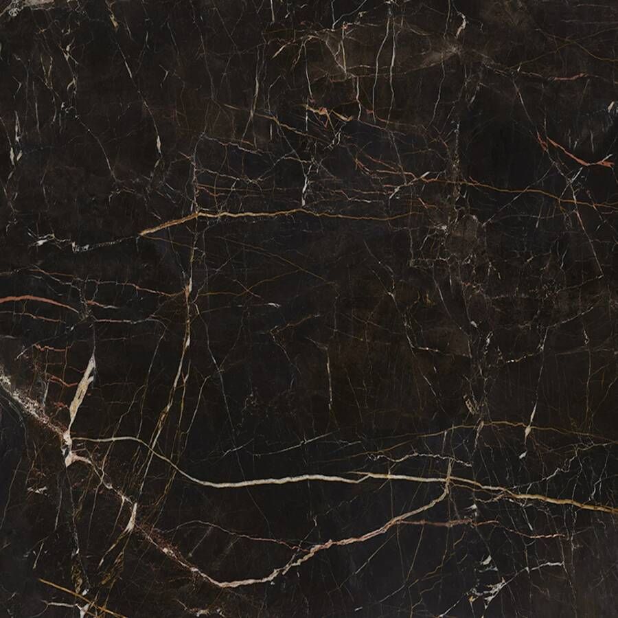 Pamesa Vloertegel Laurants Brown 120x120 cm Gepolijst Bruin