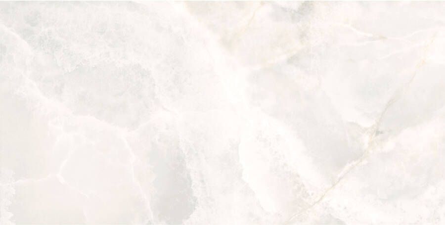 Pamesa Vloertegel Lux Noor White 60x120 cm Gepolijst Wit