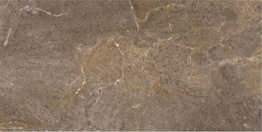 Porcelaingres Vloertegel Royal Stone 30x60 cm Mat Bruin