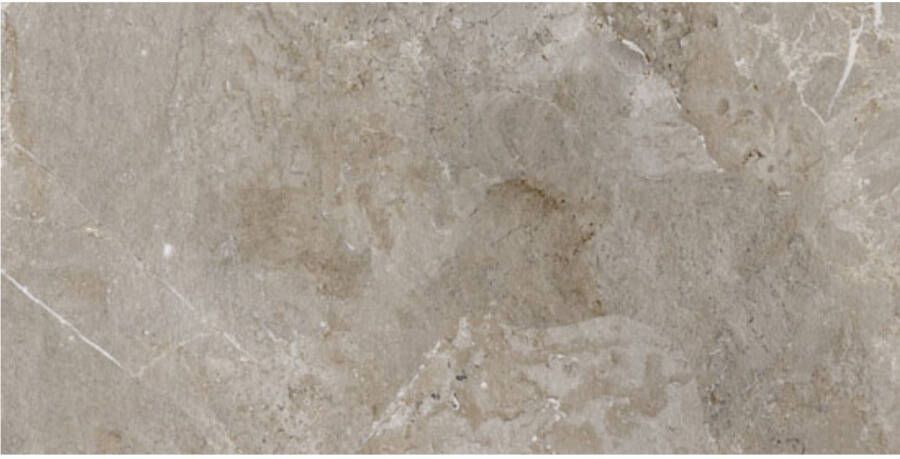 Porcelaingres Vloertegel Royal Stone 30x60 cm Mat Grijs