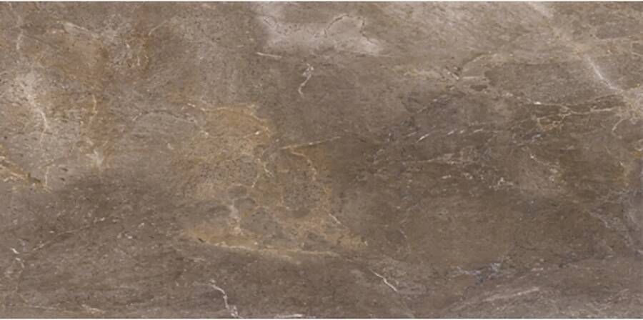 Porcelaingres Vloertegel Royal Stone 60x120 cm Mat Bruin