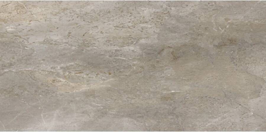 Porcelaingres Vloertegel Royal Stone 60x120 cm Mat Grijs