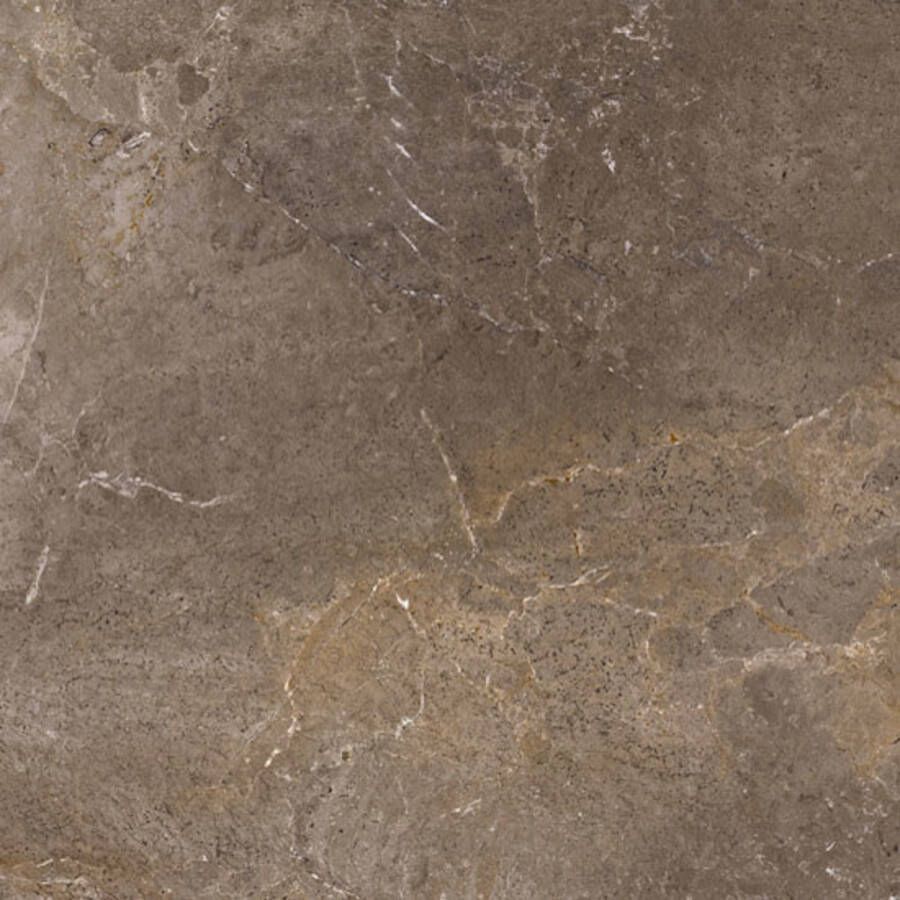 Porcelaingres Vloertegel Royal Stone 60x60 cm Mat Bruin