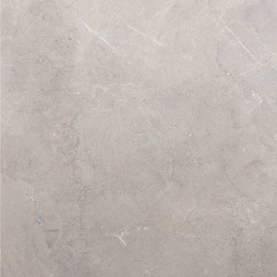 Porcelaingres Vloertegel Royal Stone 75x75 cm Mat Grijs