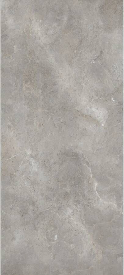 Porcelaingres Vloertegel Royal Stone Slab 120x270 cm Mat Grijs