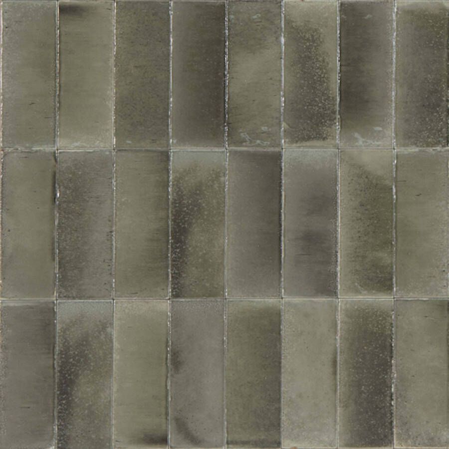 Ragno Wandtegel Gleeze 7.5x20 cm 10 mm Glans Grigio