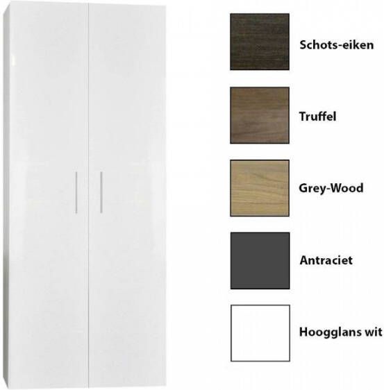 Sanicare Kolomkast Q4 Q15 2-Deurs Soft-Closing 160x67x32 cm Antraciet
