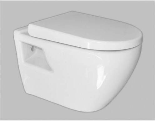 Sanicare Wandcloset Soft-Close Toiletzitting Met Anti-Slip Bumper 51x36 cm Wit Keramiek
