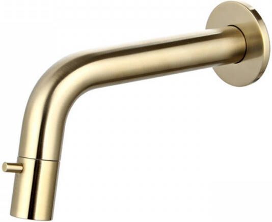 Sanilux Fonteinkraan Peralta Inbouw Inkortbaar Rond Goud