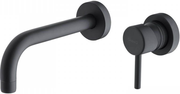 Sanimex Inbouw Wastafelkraan Giulini Eenhendel 20 cm Mat Zwart