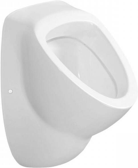 Aqualine Urinoir 39x58cm ingebouwde toevoer en afvoer incl. sifon (2670-DS) - Foto 3