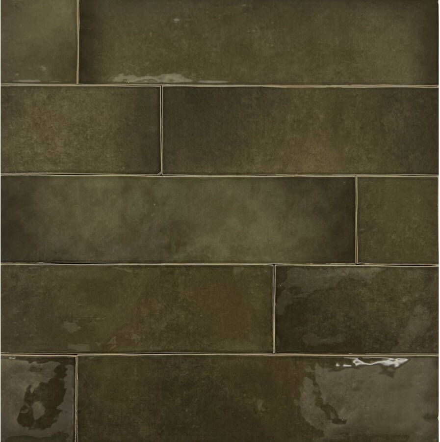 Stardos Zellige Moss Keramiek 6.2x25 cm Bruin