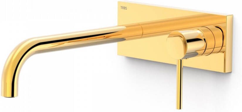 Tres Wastafelmengkraan Inbouw Study Exclusive met Afdekplaat Gebogen Uitloop 24 cm en Hendel Goud