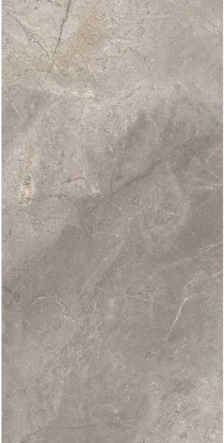 TS-Tiles Vloertegel Stonemaster Silver 60x120 cm