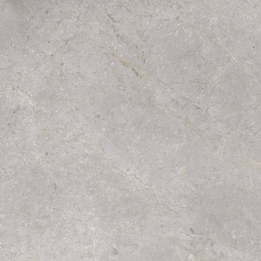 TS-Tiles Vloertegel Stonemaster Silver 60x60 cm