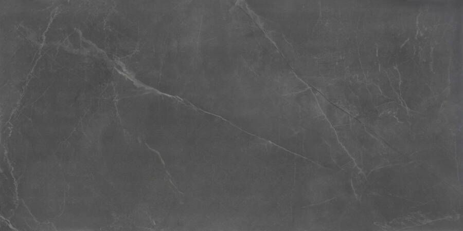 TS-Tiles Vloertegel Stonemood 30x60 cm Steel