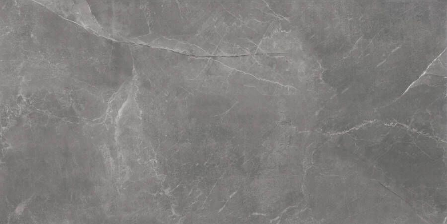 TS-Tiles Vloertegel Stonemood 60x120 cm Grey