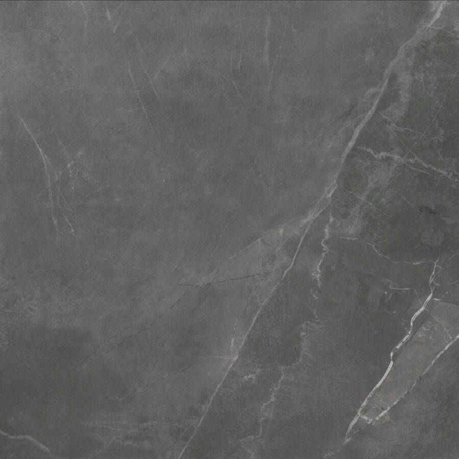 TS-Tiles Vloertegel Stonemood 60x60 cm Grey