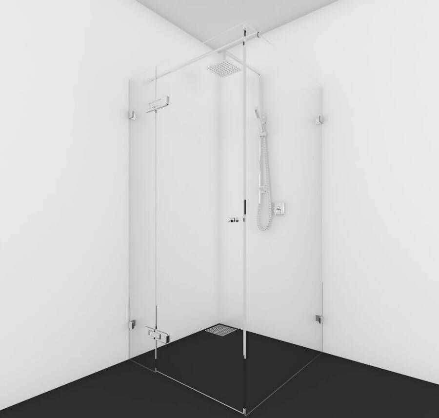 van Rijn Nisdeur Aan Vast Deel Met Zijwand Incl. Stabilisatiestang Products 8 mm Helder Glas HxB Max 200x100 cm Ronde knop