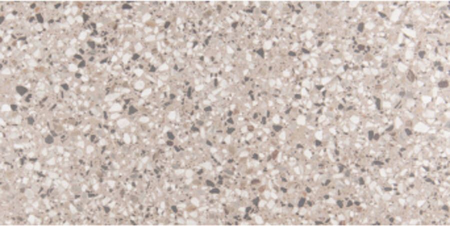 vtwonen Vloer- en Wandtegel Terrazzo 60x120 cm Mat Clay Flakes