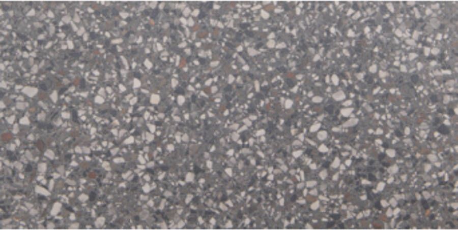 vtwonen Vloer- en Wandtegel Terrazzo 60x120 cm Mat Lead Flakes