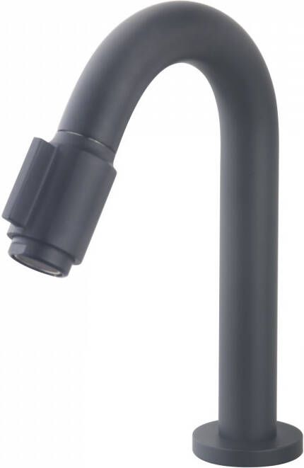 Wiesbaden Fonteinkraan Victoria | Opbouw | Koudwater kraan | Standaard model | Rond | Zwart - Foto 2