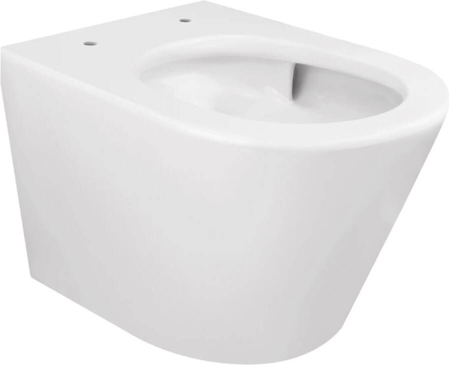 Wiesbaden Vesta rimless hangend toilet met Tornado-flush 42 x 36 x 52 5 cm mat wit - Foto 3