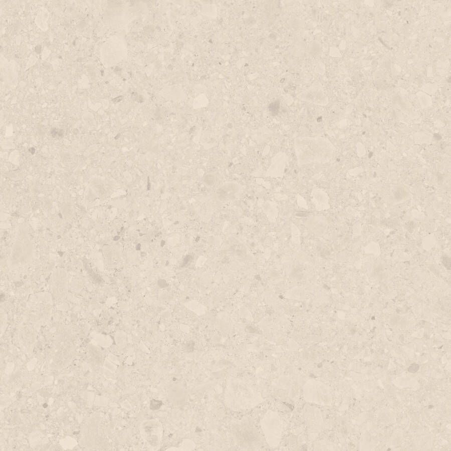 Argenta Vloer- wandtegel Flodsten 90x90cm artic mat gerectificeerd
