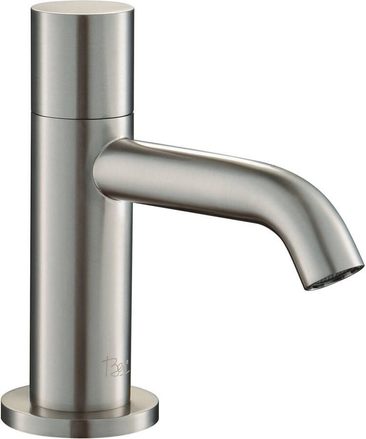 Ben Tweedekans Lavion Fonteinkraan Geborsteld Nickel