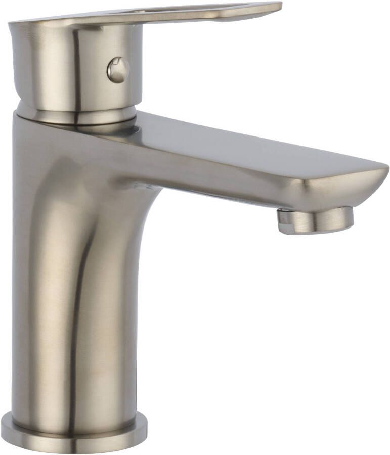 Saniselect Wastafelmengkraan Geborsteld inox