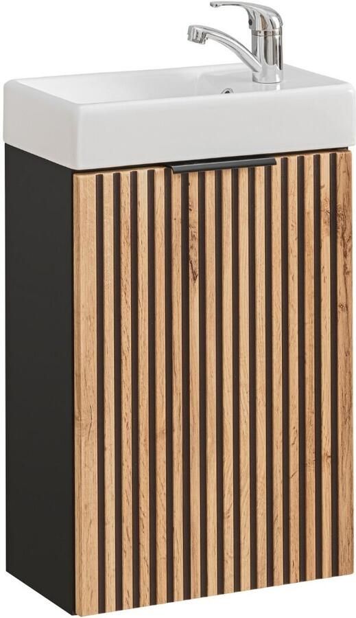 Sanifun toiletmeubel set Wotan 40.