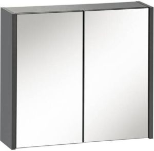 Sanifun spiegelkast Ibiza Grey 55 x 60.