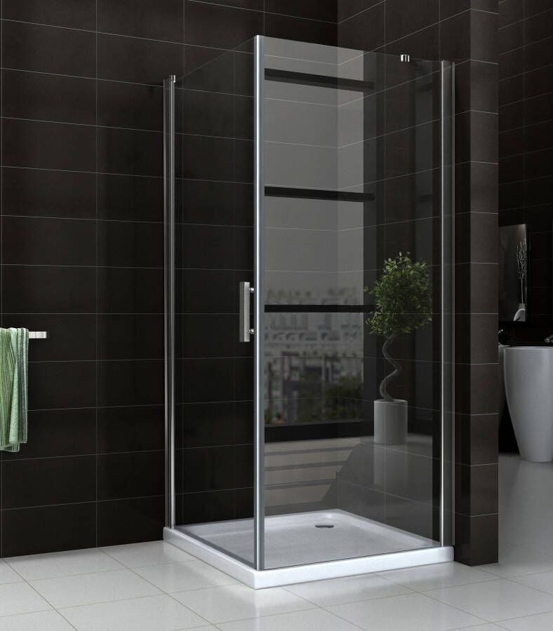 Sanifun Swingdeur + zijwand UNI 1000x1000x2000 chr.8mm NANO.